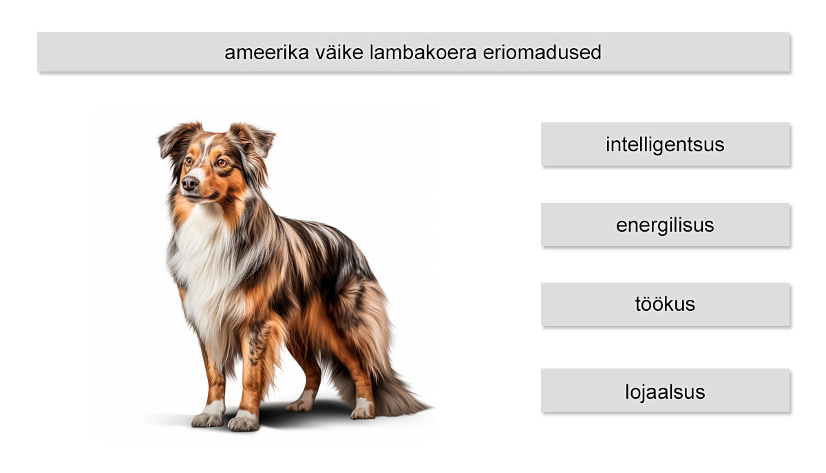 ameerika lambakoera eriomadused