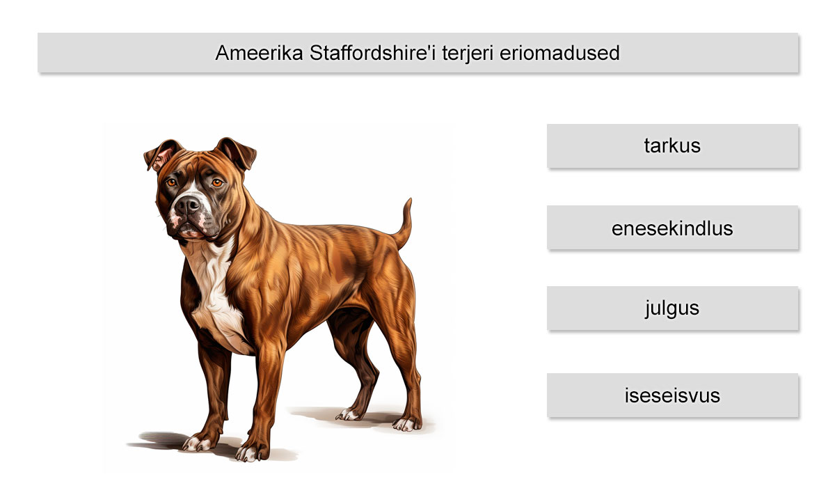 Ameerika Staffordshire'i terjeri eriomadused