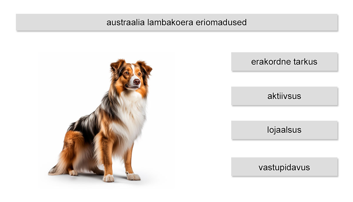 austraalia lambakoera eriomadused
