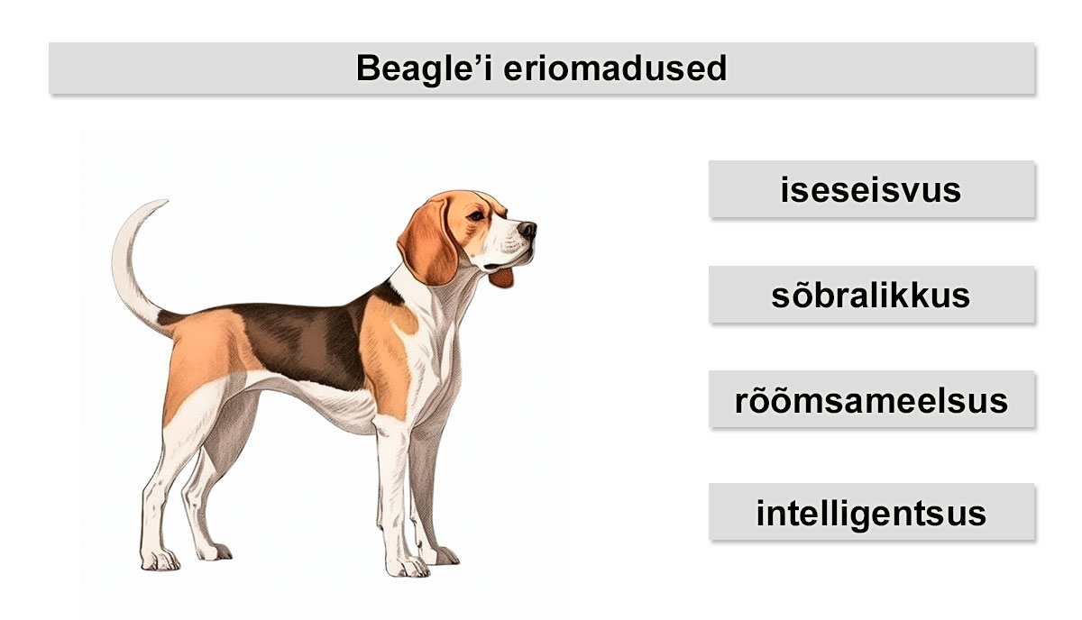 beagle'i eriomadused