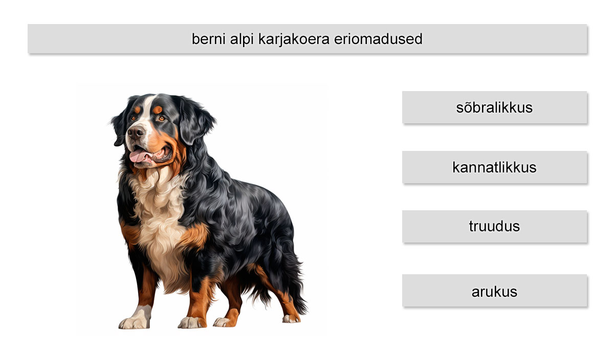 berni alpi karjakoera eriomadused
