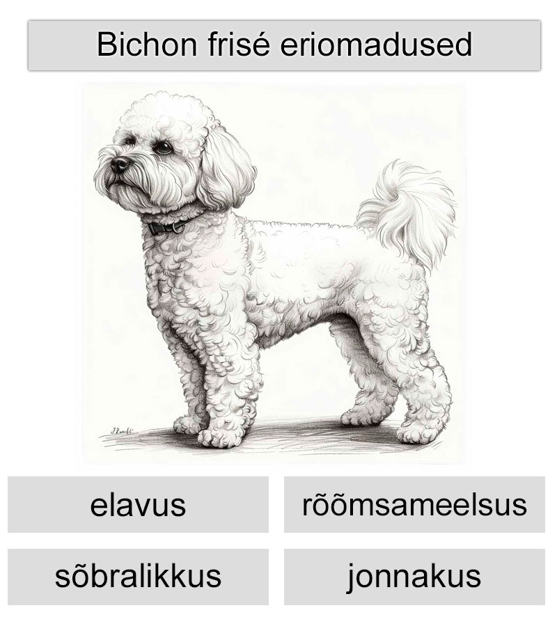 bichon frise eriomadused