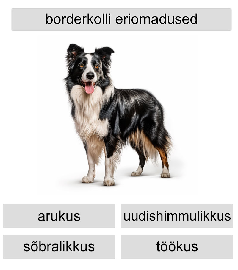 borderkolli eriomadused