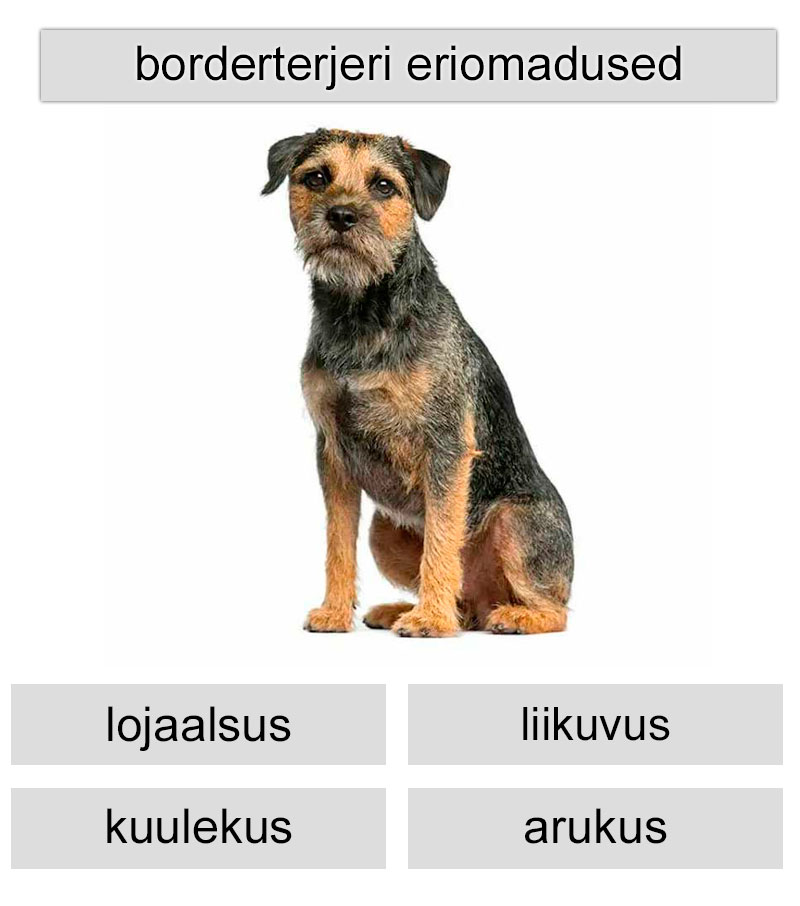 borderterjeri eriomadused