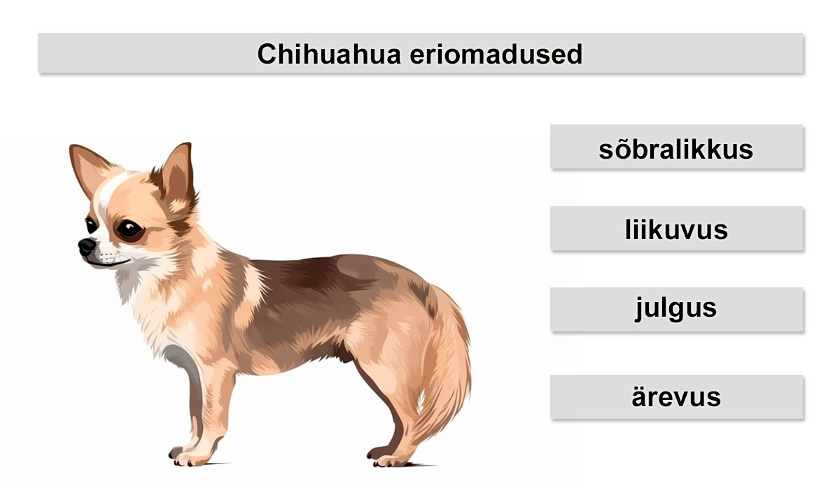 Chihuahua eriomadused