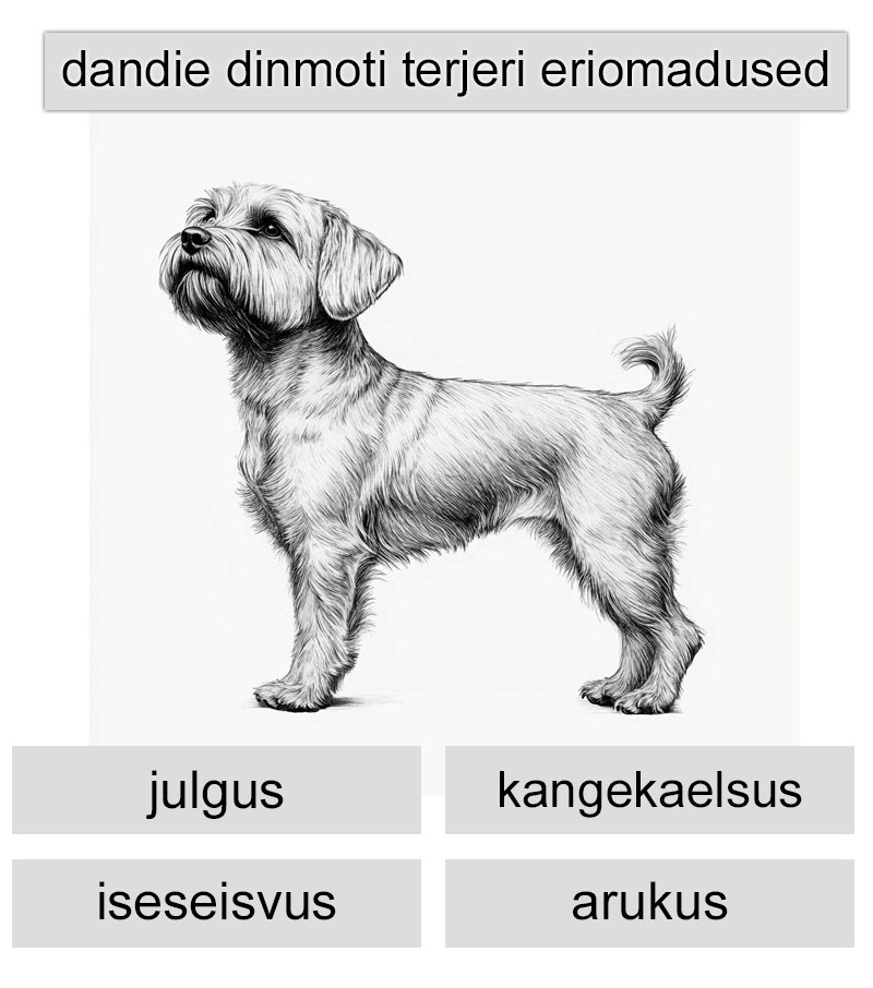 dandie dinmonti eriomadused