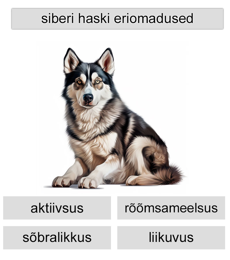 siberi haski eriomadused