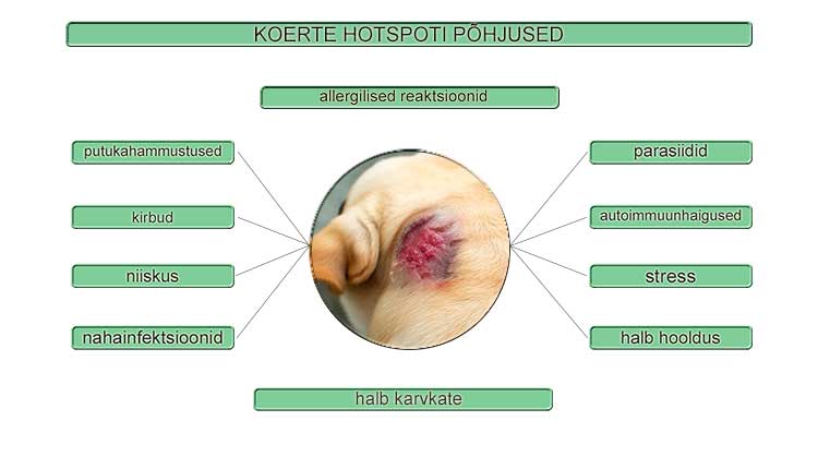 Hotspoti tekkimise põhjused