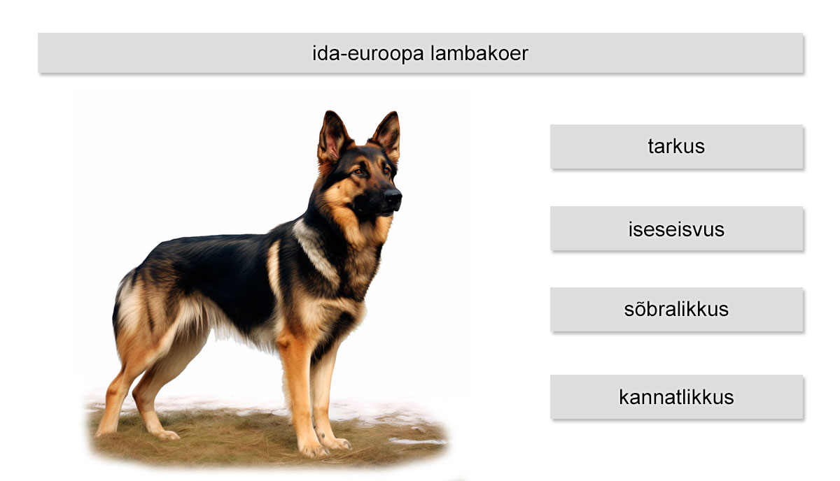 ida euroopa lambakoera eriomadused