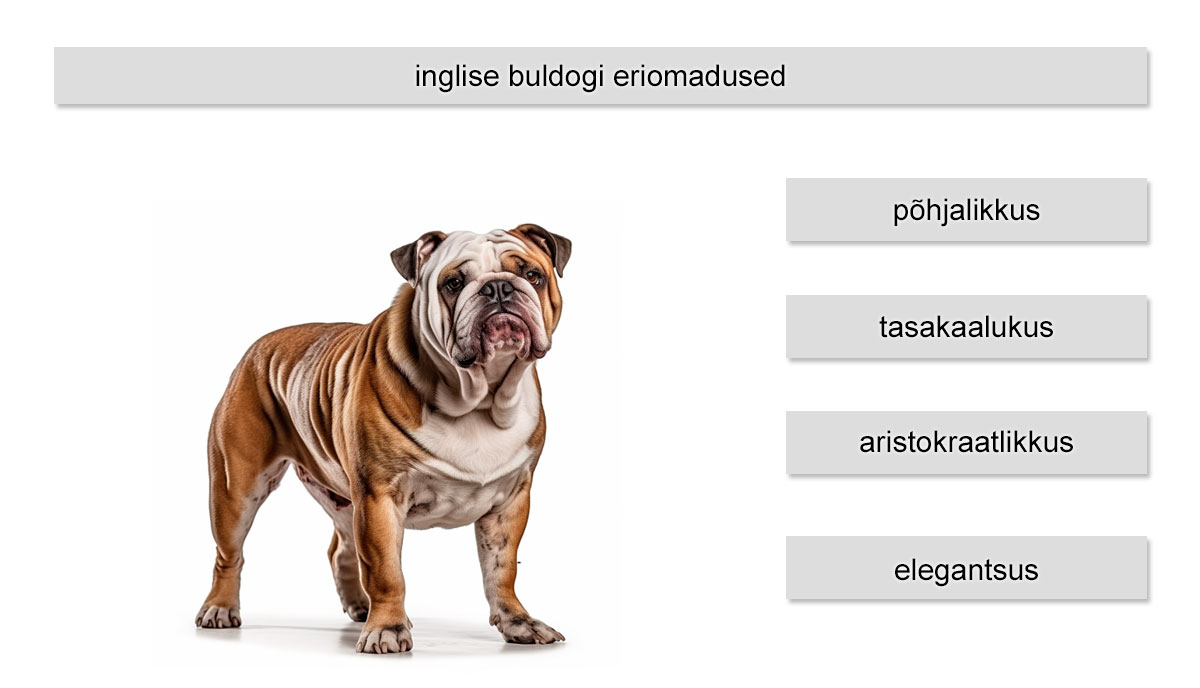 inglise buldogi eriomadused