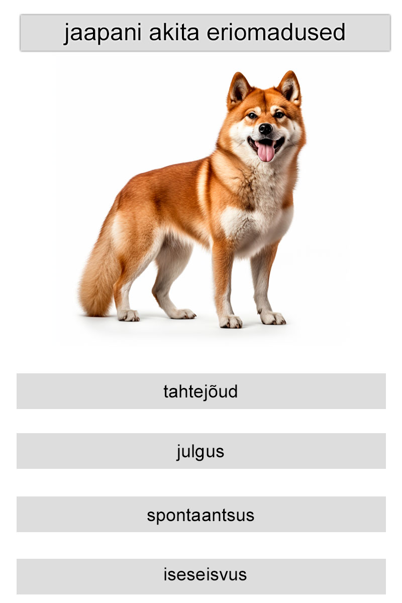 jaapani akita eriomadused
