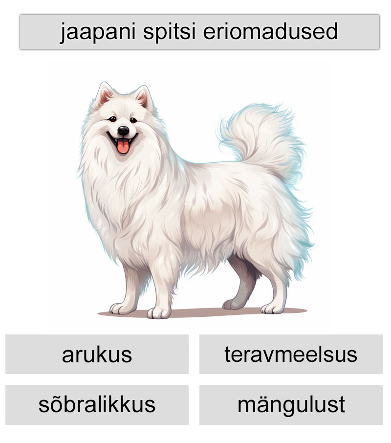 jaapani spitsi eriomadused
