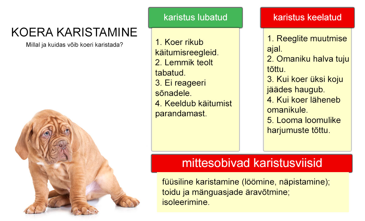 koera karistamise reeglid