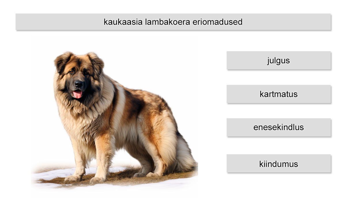 kaukaasia lambakoera eriomadused