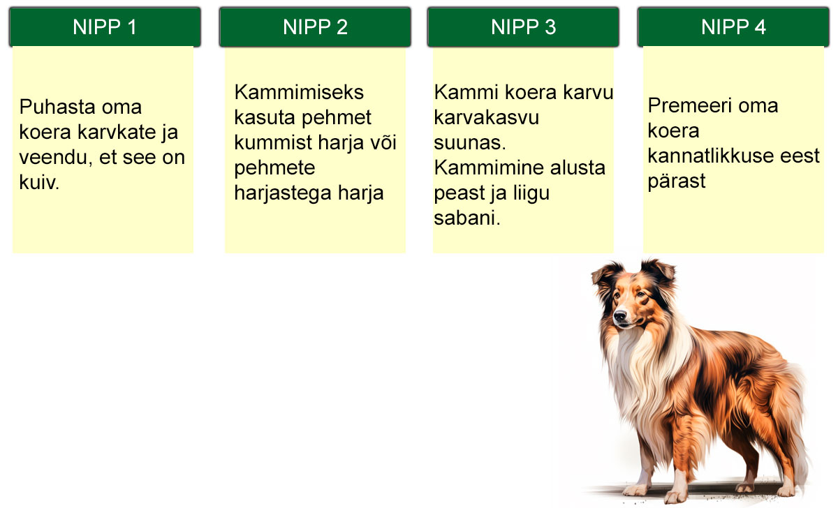 koerte kammise nipid