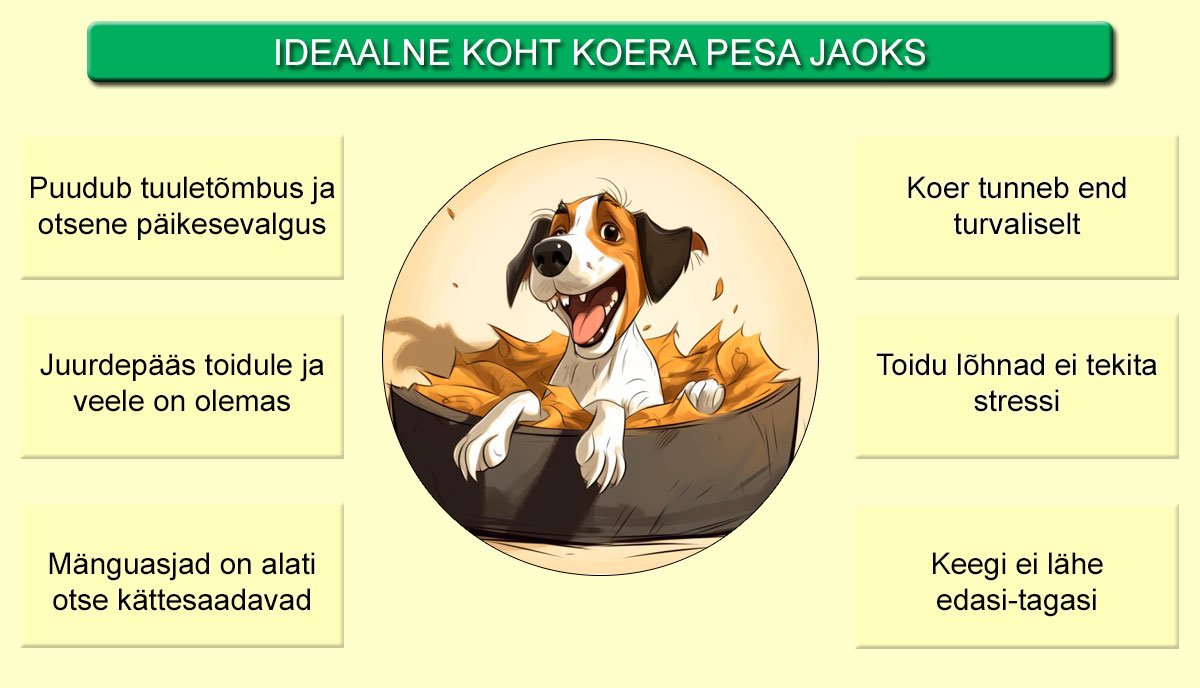 koera pesa koha valimise reeglid
