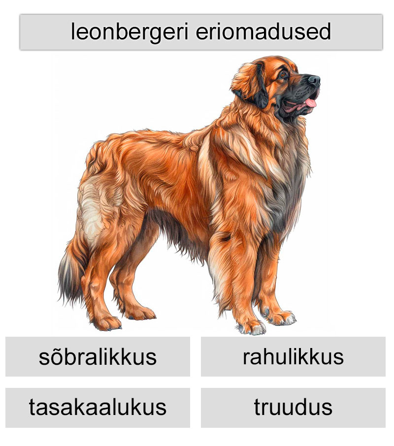 leonbergeri eriomadused