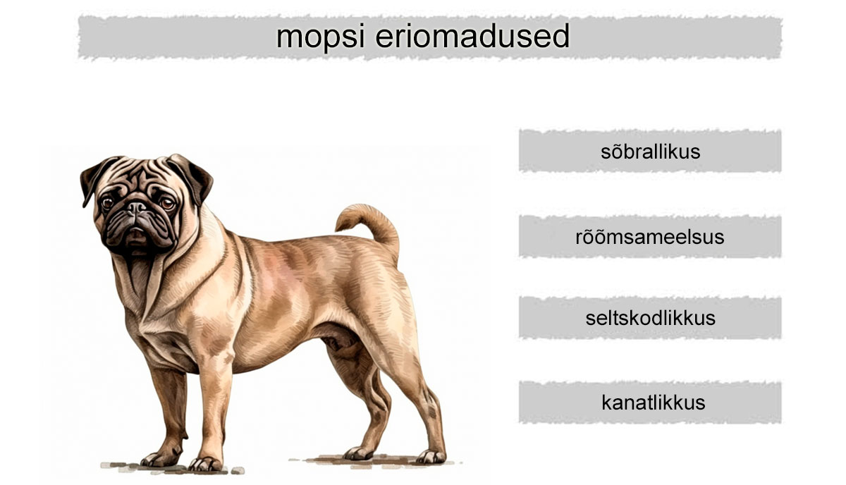 mopsi koera eriomadused