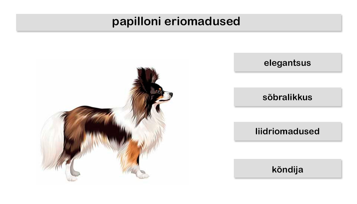 papilloni eriomadused