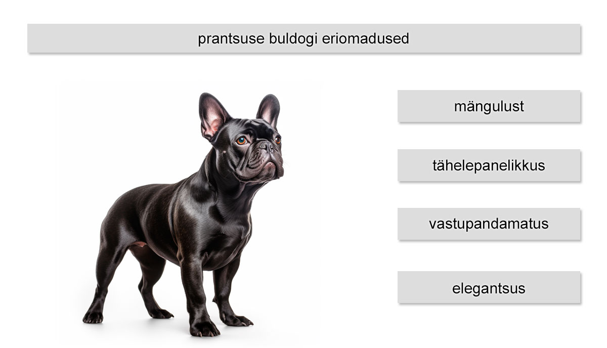 prantsuse buldogi eriomadused
