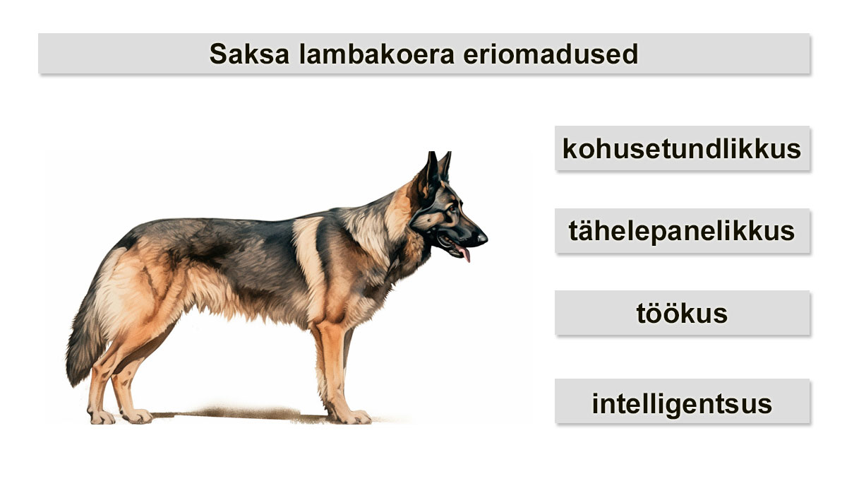 saksa lambakoera eriomadused