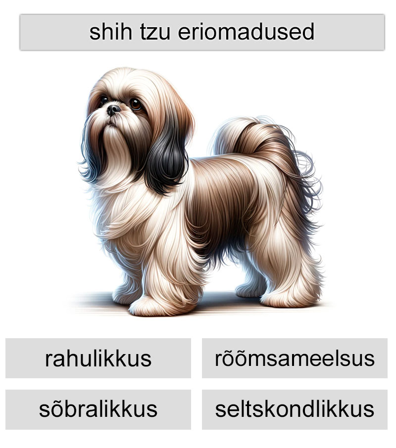 shih tzu eriomadused