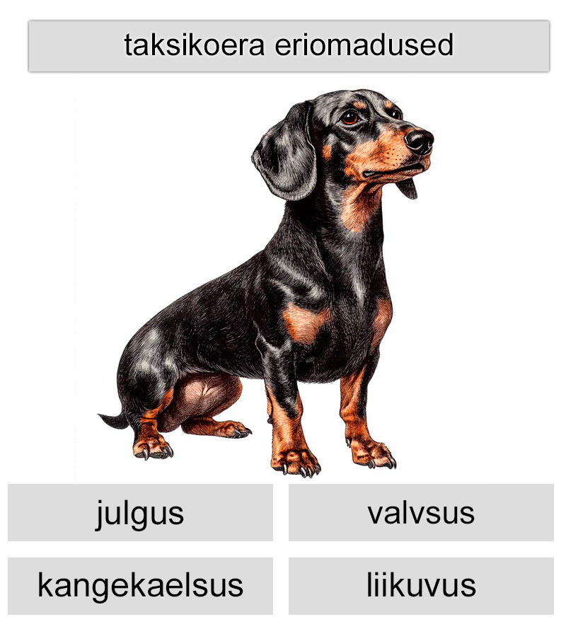 taksikoerte eriomadused