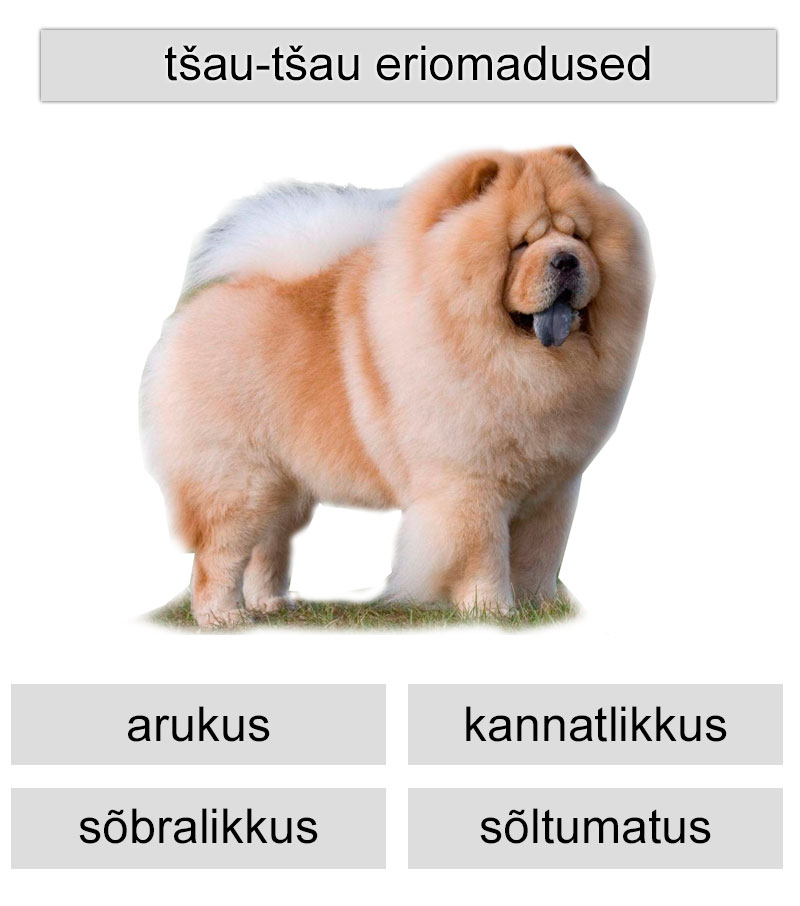 tšau-tšau eriomadused